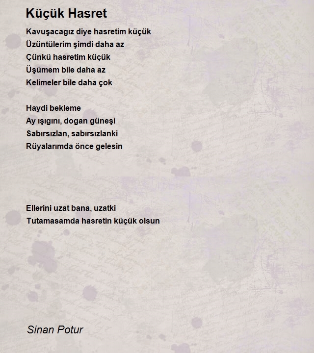 Sinan Potur