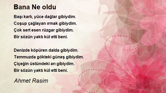 Ahmet Rasim