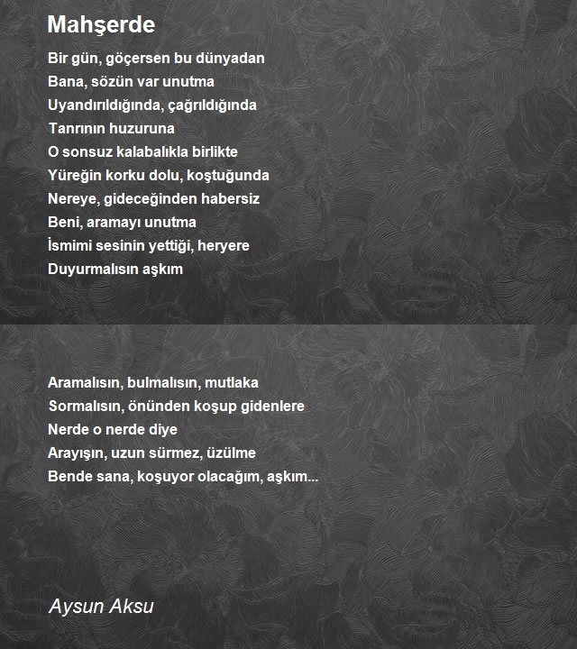 Aysun Aksu