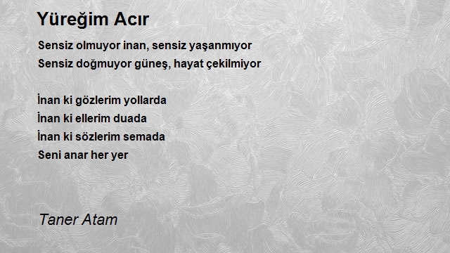 Taner Atam