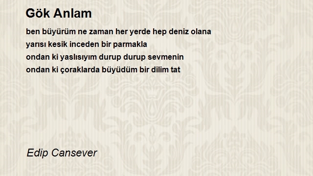 Edip Cansever