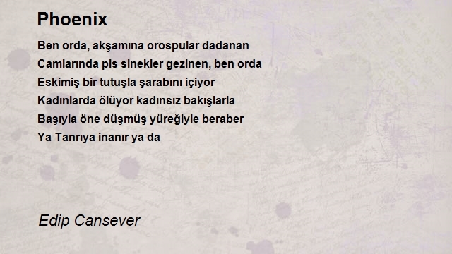 Edip Cansever