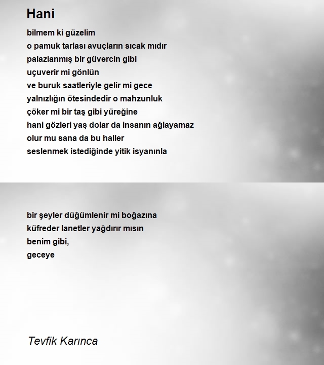 Tevfik Karınca