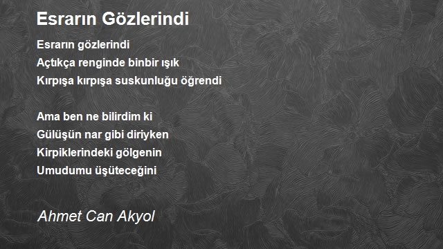 Ahmet Can Akyol