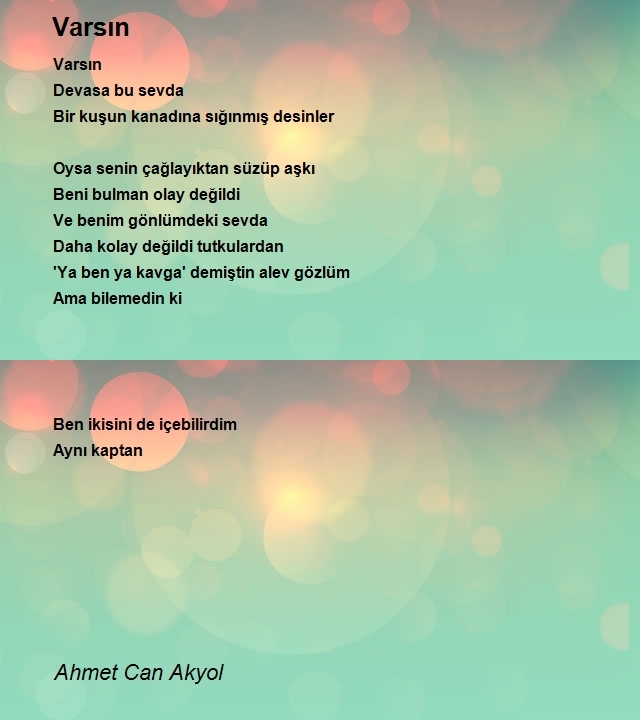 Ahmet Can Akyol