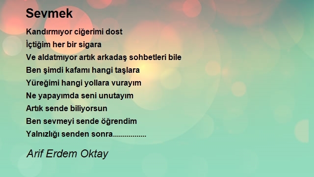 Arif Erdem Oktay