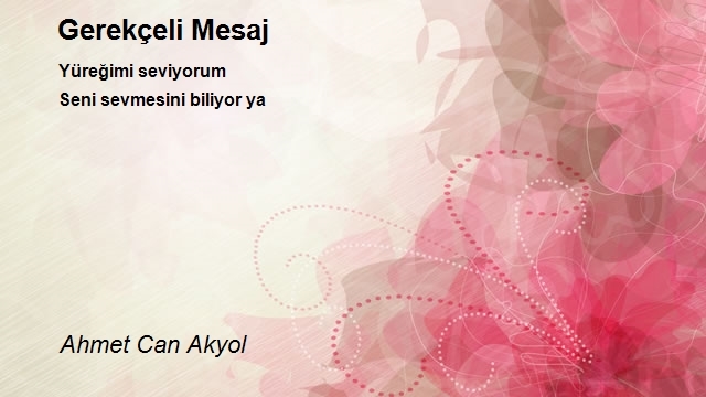 Ahmet Can Akyol