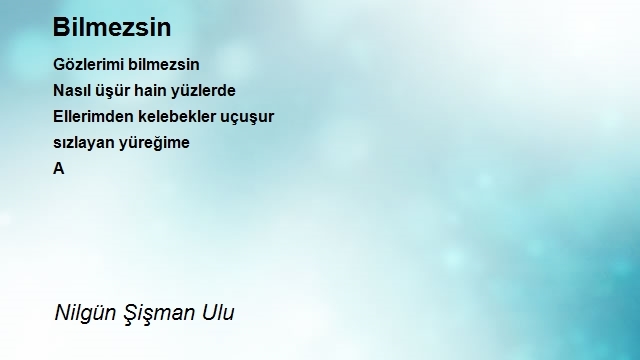 Nilgün Şişman Ulu