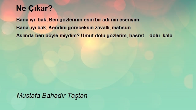 Mustafa Bahadır Taştan