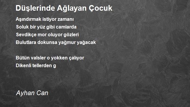 Ayhan Can