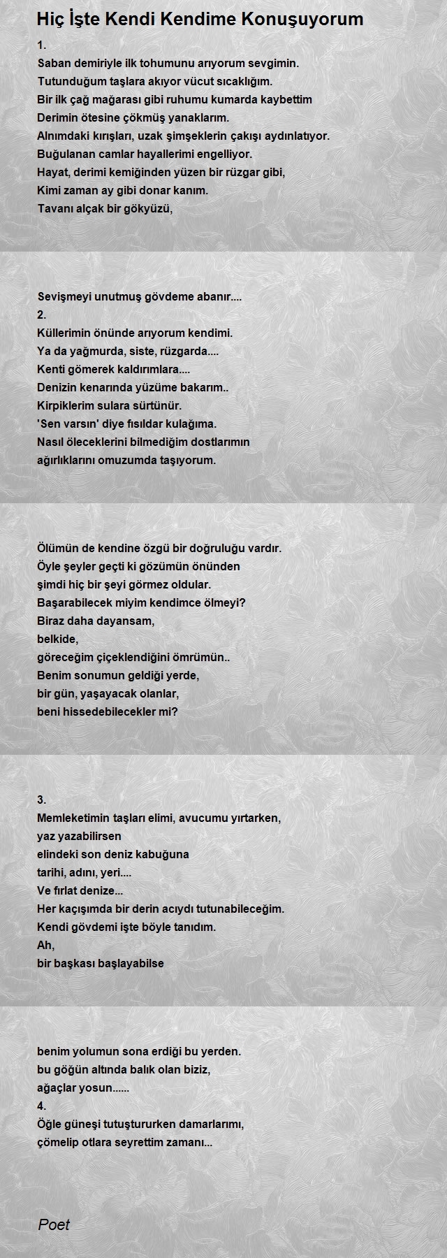 Şair Poet