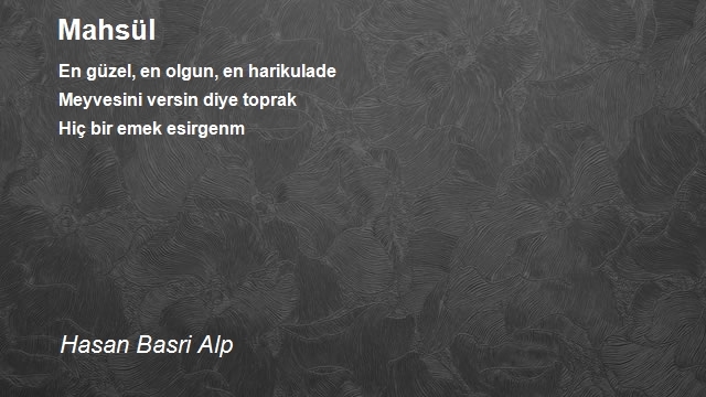 Hasan Basri Alp