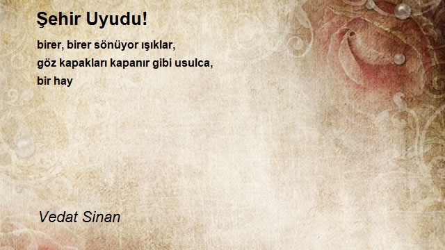 Vedat Sinan