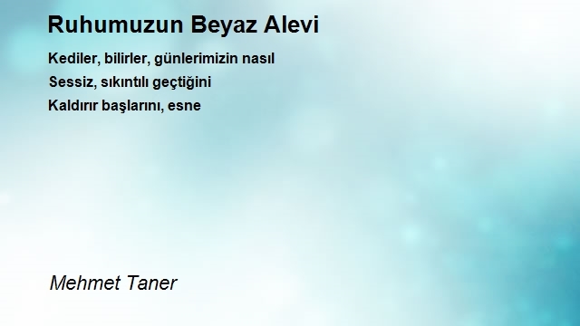 Mehmet Taner