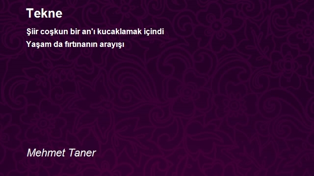 Mehmet Taner