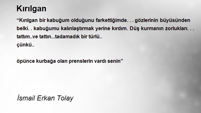 İsmail Erkan Tolay