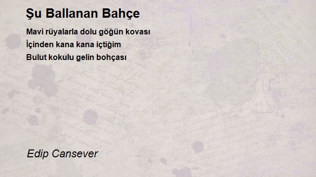 Edip Cansever