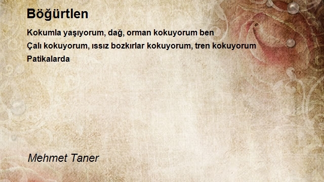 Mehmet Taner