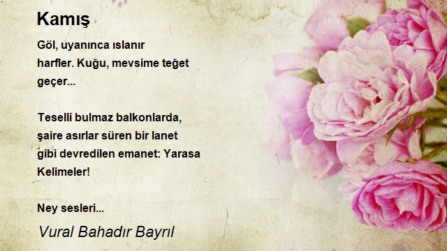 Vural Bahadır Bayrıl