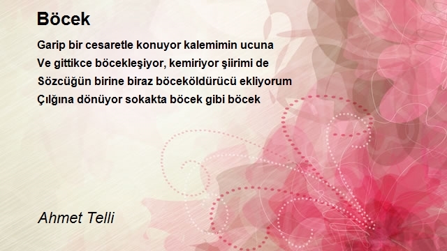 Ahmet Telli