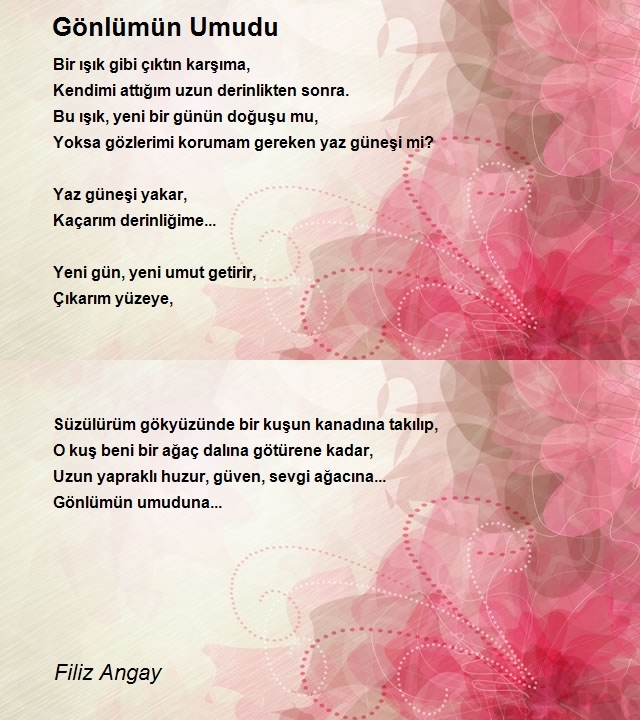 Filiz Angay