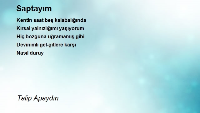 Talip Apaydın