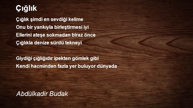 Abdülkadir Budak