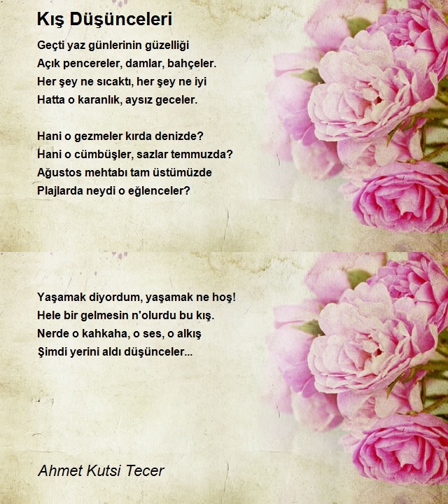 Ahmet Kutsi Tecer