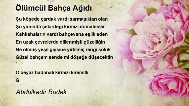 Abdülkadir Budak