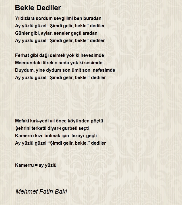 Mehmet Fatin Baki