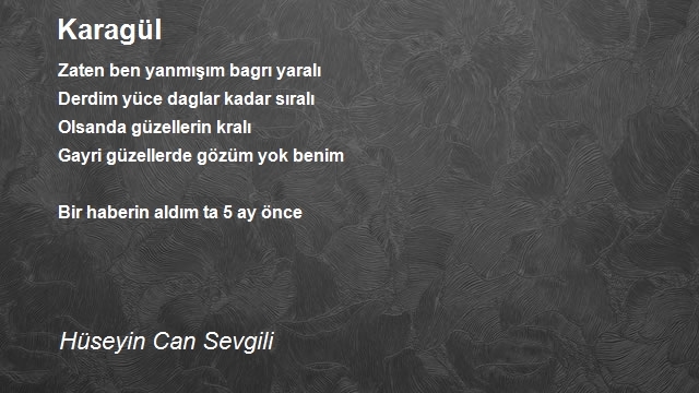 Hüseyin Can Sevgili