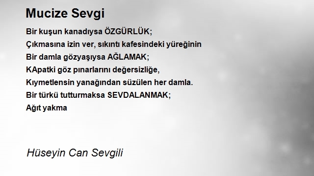 Hüseyin Can Sevgili