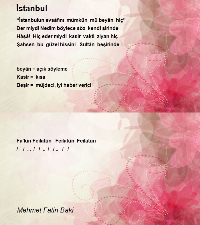 Mehmet Fatin Baki