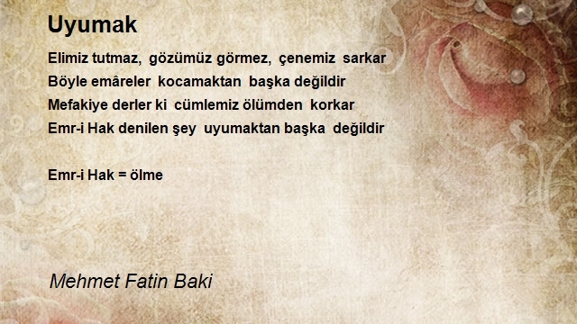 Mehmet Fatin Baki