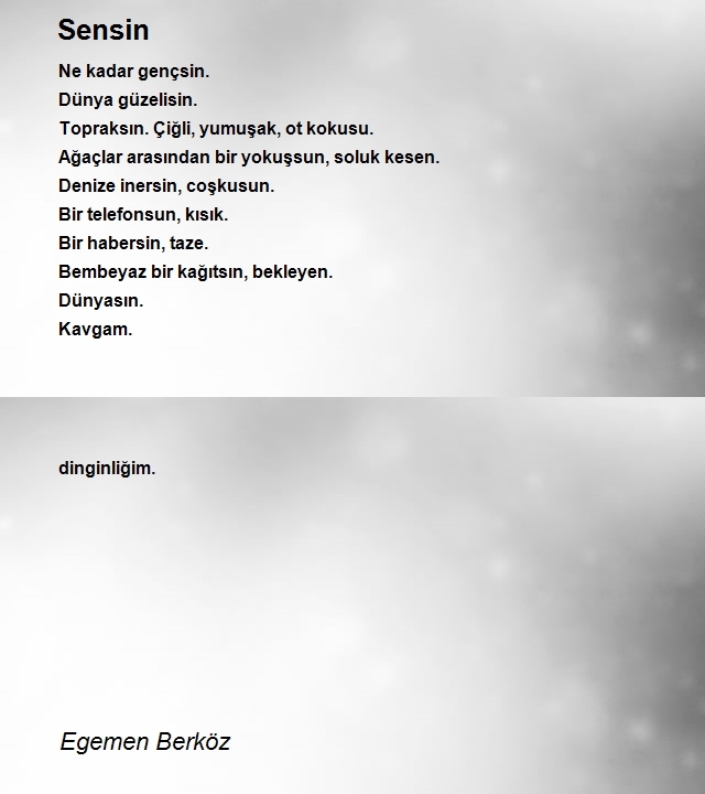 Egemen Berköz