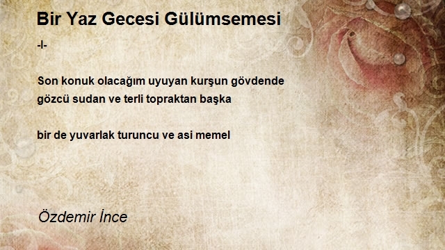 Özdemir İnce