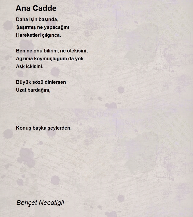 Behçet Necatigil