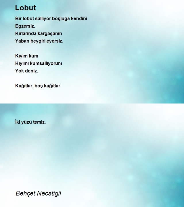 Behçet Necatigil