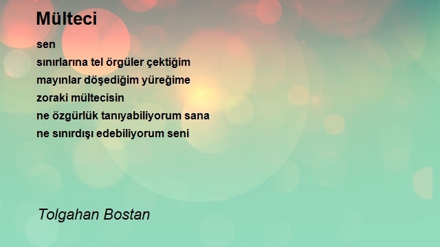 Tolgahan Bostan