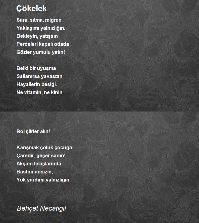 Behçet Necatigil