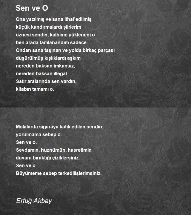 Ertuğ Akbay