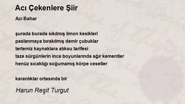 Harun Reşit Turgut