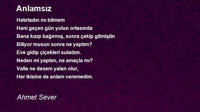 Ahmet Sever