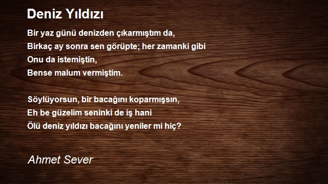 Ahmet Sever