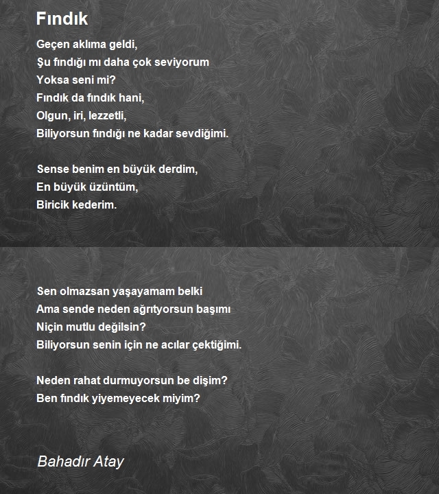 Bahadır Atay