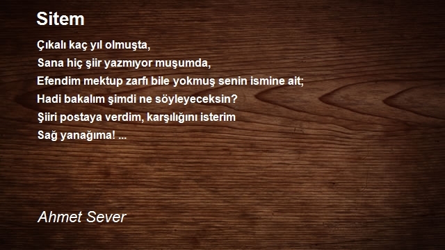 Ahmet Sever