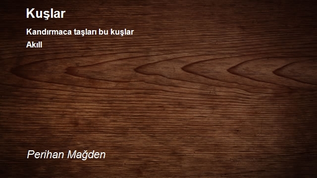 Perihan Mağden