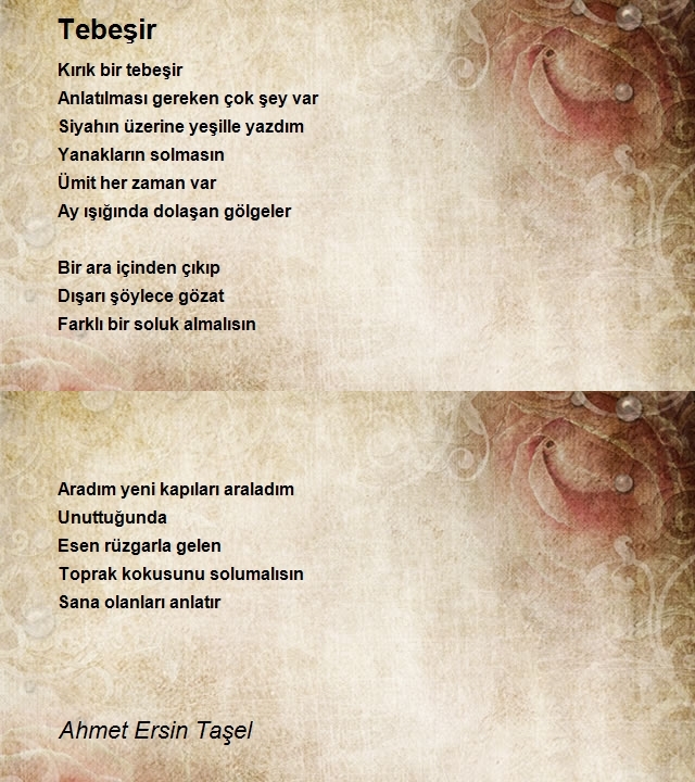 Ahmet Ersin Taşel