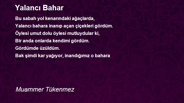 Muammer Tükenmez