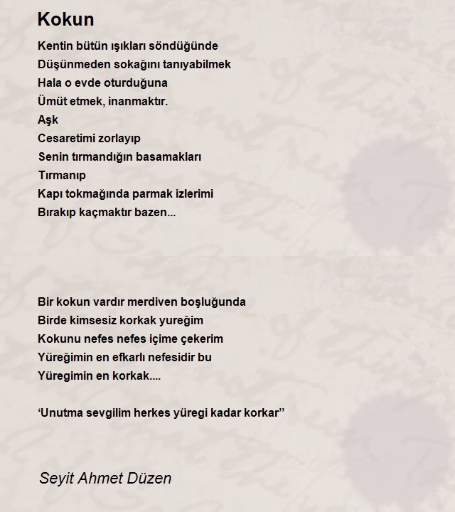 Seyit Ahmet Düzen